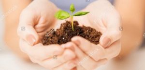 Environmental Construction